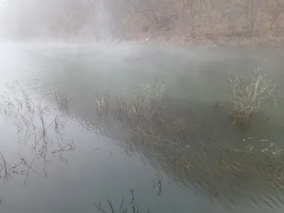 덕곡낚시터 허리급월척 