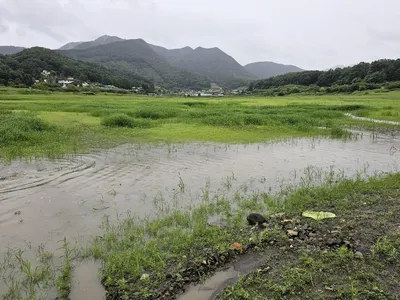 제일4짜4짜 덕곡4짜.키다리39대물.허리급.문골허리급월척  