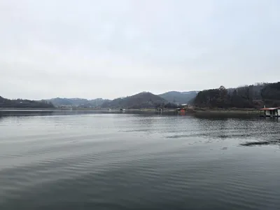 충주호제일낚시 38.40 대물들  