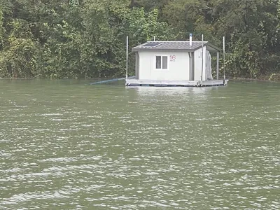 제일37.키다리월척마리수