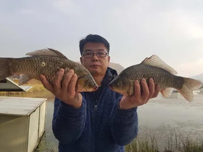 충주탄금호낚시조황