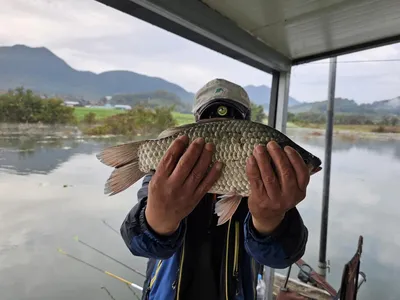 제일허리급월척 마리수 모든조사님들 손맛보심 