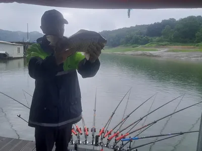 병호4짜월척준척마리수  문골39허리급 