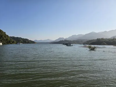 제일대물붕어월척들 