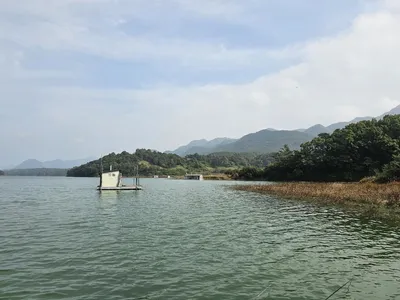 .제일허리급월척마리수.키다리낚시터월척.조황정보 