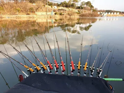 음성 삼성지,초평 지전교 부근