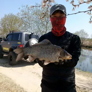 충주탄금호낚시대물41cm조황