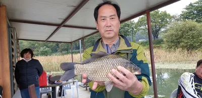 충주탄금호낚시 조황