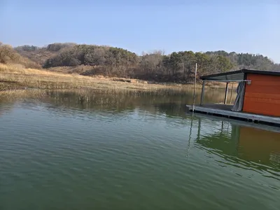 충주호제일낚시 올봄 첫붕어소식 입니다 