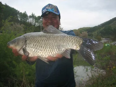 충주 탄금호낚시 대물들 조황