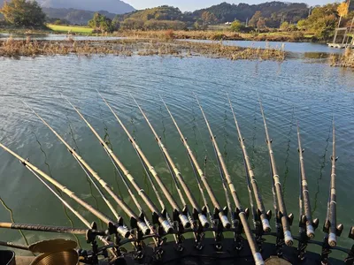 제일허리급월척 