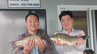 키다리낚시터 허리급월척 마리수 