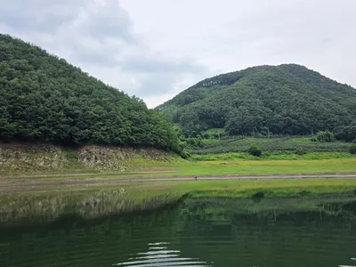 덕곡4짜 허리급 꾸준한키다리낚시터 허리급월척