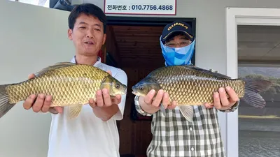 제일낚시너무많은조황.키다리낚시터4짜로만 