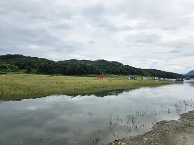 제일4짜준척. 마리수 .노지4짜허리급들 