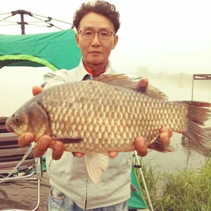 충주탄금호낚시 4짜조황