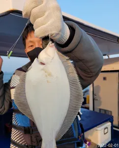 후두두둑~!! 씨알좋고 손맛 끝내주는 도다리 쌍걸이에 연이은 히트로 신나게 잡고왔습니다~^0^