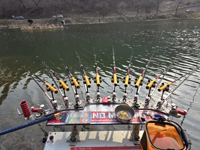 음성 금석지(육령지)