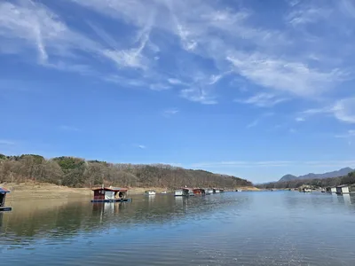 충주호제일낚시 허리급 