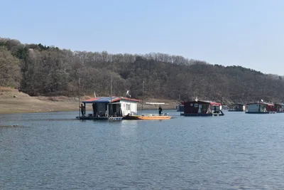 충주호제일낚시꾸준한4짜