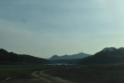 충주호제일4짜4짜 대물월척마리수 