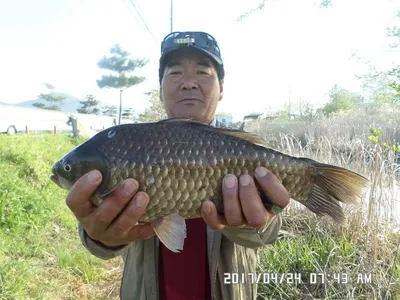 충주 탄금호 낚시조황