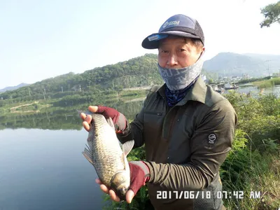 충주탄금호낚시조황