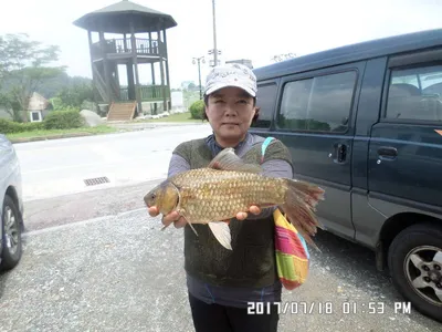 탄금호낚시대물42.5cm조황