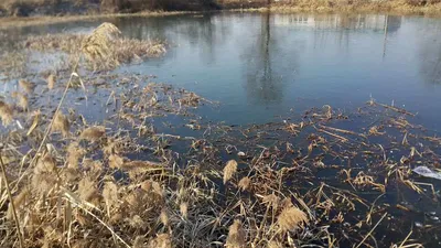 음성권 결빙상태