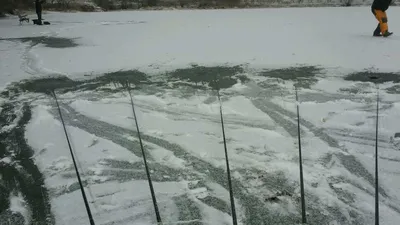 음성권 얼음상태3