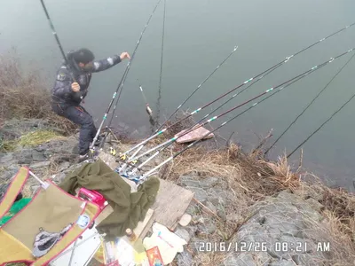 충주 탄금호 낚시조황