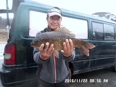 충주 탄금호 낚시조황
