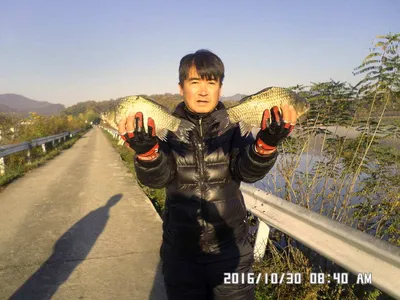 충주 탄금호 낚시조황