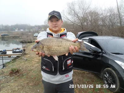 충주 탄금호 낚시조황