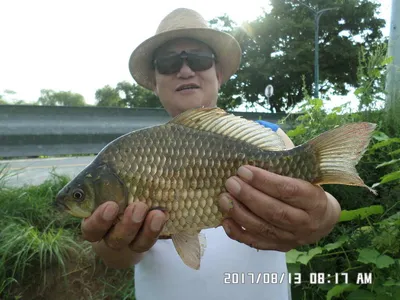 충주 탄금호 낚시조황