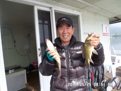 탄금호낚시대물38cm조황