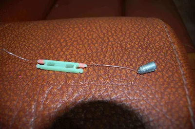 음성권 빙어,붕어조항