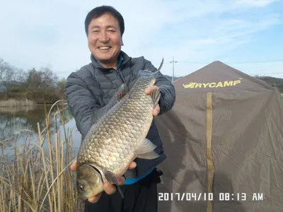 대물46cm와4짜들뉘우스