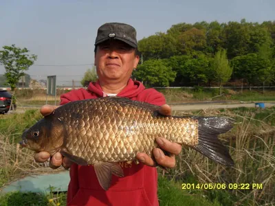 탄금호낚시대물40.5cm