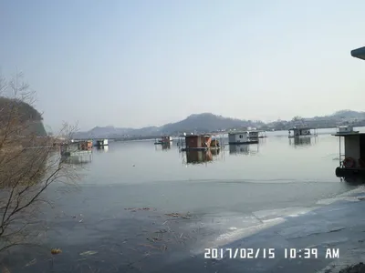 충주 탄금호 낚시조황