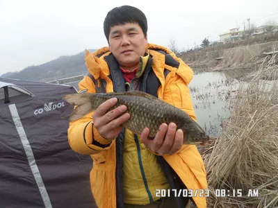 입석에4짜소식 전합니다