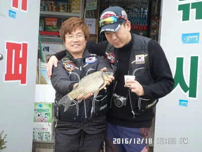 주말에입석권조황 안내