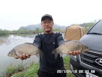 충주탄금호낚시대물4짜소식