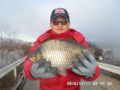 충주 탄금호 낚시조황