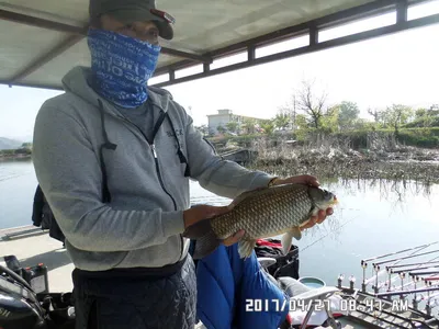 탄금호낚시4짜와월척들마리수조황