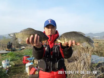 충주 탄금호 낚시조황