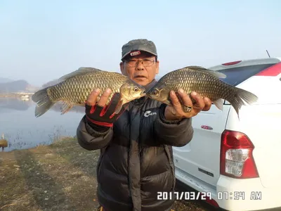 충주 탄금호 낚시조황