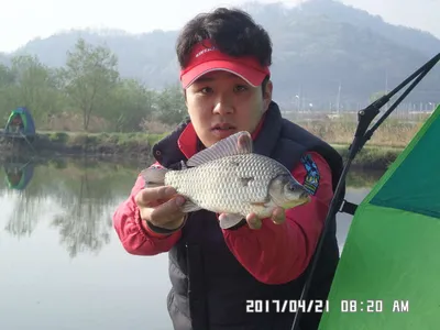 충주 탄금호 낚시조황