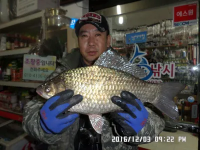 충주 탄금호 낚시조황