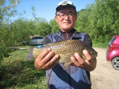 충주탄금호낚시 마리수조황
